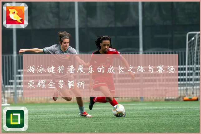 游泳健将潘展乐的成长之路与赛场荣耀全景解析
