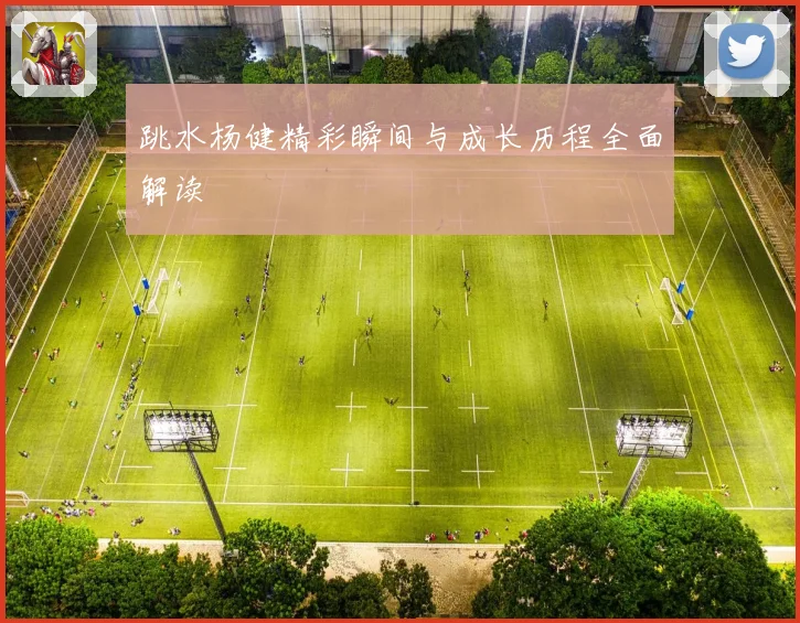 跳水杨健精彩瞬间与成长历程全面解读
